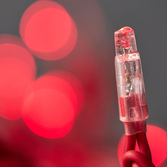 100 LED-Lämpchen 1,5 m Rot in Reihe 100 LED-Lämpchen 1,5 m Rot in Reihe