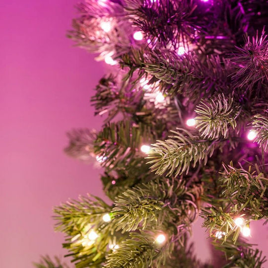Twinkly Weihnachtsdekoration Kunststoff Kranz Beleuchtet mit Durchmesser 12.5cm. 50 RGB LED