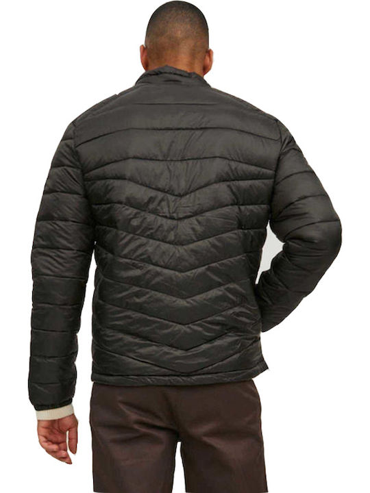 Winter Jacket Puffer Rosin
