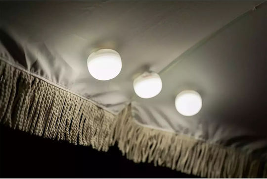 NewGarden Set of 5 Hanging Solar Lights 350lm with Warm White Light 3000K