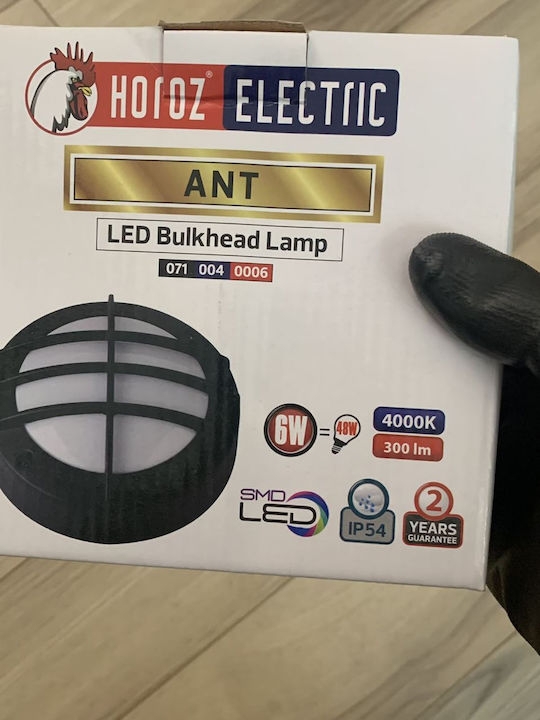 Horoz Electric Lumină de exterior montată pe perete LED IP54 6W cu Alb Natural Lumină