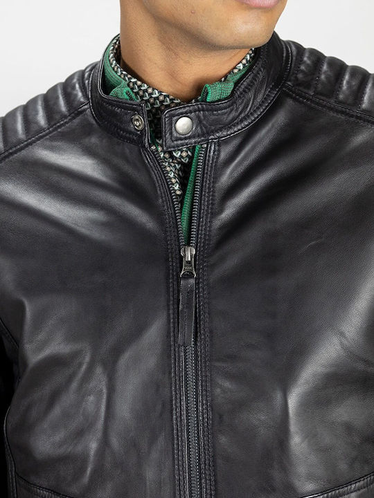 Lupo Nero