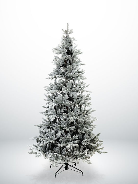 Christmas Tree Psiloritis Snowy 240cm with 1217 Branches