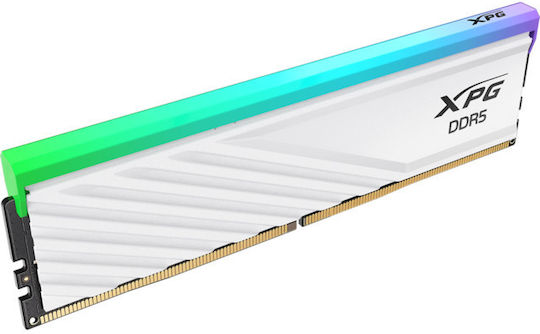 Adata Lancer Blade 32GB DDR5 RAM mit 2 Modulen (2x16GB) und Geschwindigkeit 6000 für Schreibtisch