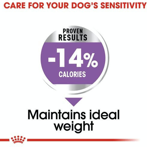 Royal Canin Maxi Sterilised 12kg Dry Food for Adult Neutered Large Breed Dogs with Poultry