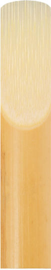 Rigotti Barre Clarinet Reeds Bb No.1 ( Box 10 ) Reeds
