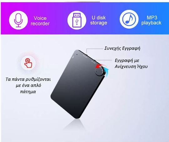 Surveillance Bug Capacity 16GB