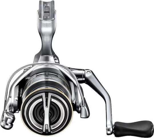 Shimano Sedona FJ Fishing Reel for English, Spinning and Bolognese 1000