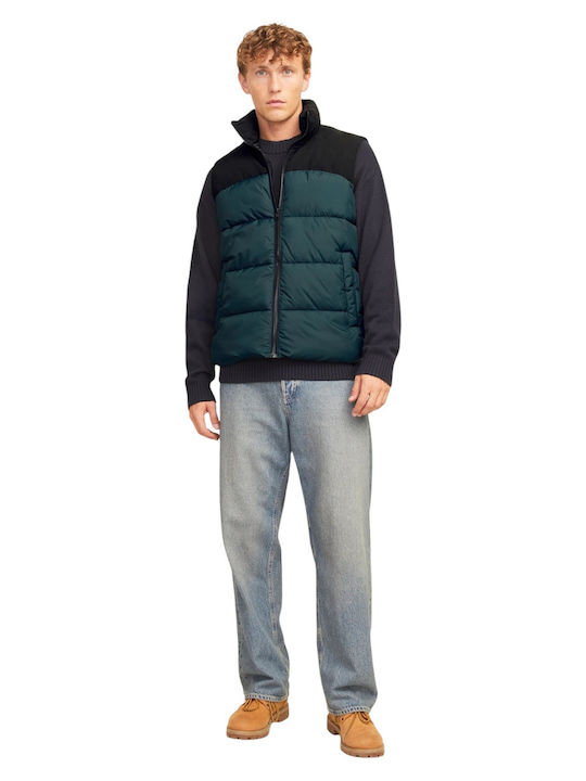 Jacket Magical Forest Multi