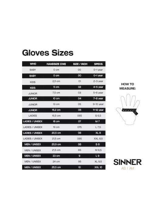 Sinner Pentru bărbați Mănuși de schi și snowboard Negre