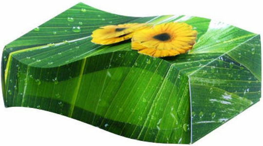 Folia 4649