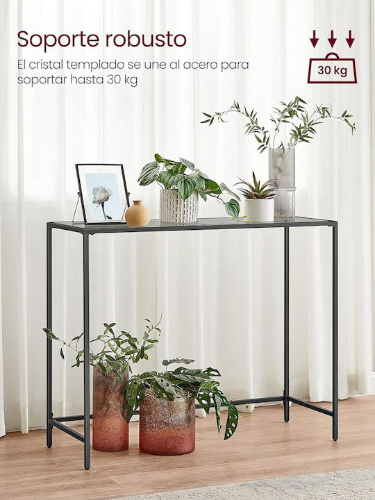 Console Table Metal with Glass Surface Black/Grey L80xW20xH100cm