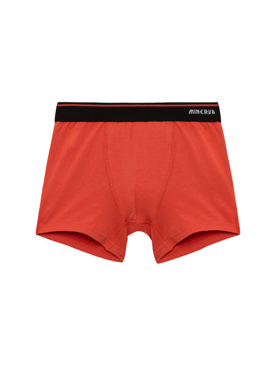 Minerva Set of Kids' Boxers Black-terracotta 2pcs