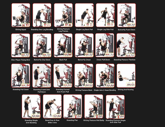 Pegasus Biceps/Triceps Machine with Weights 73kg
