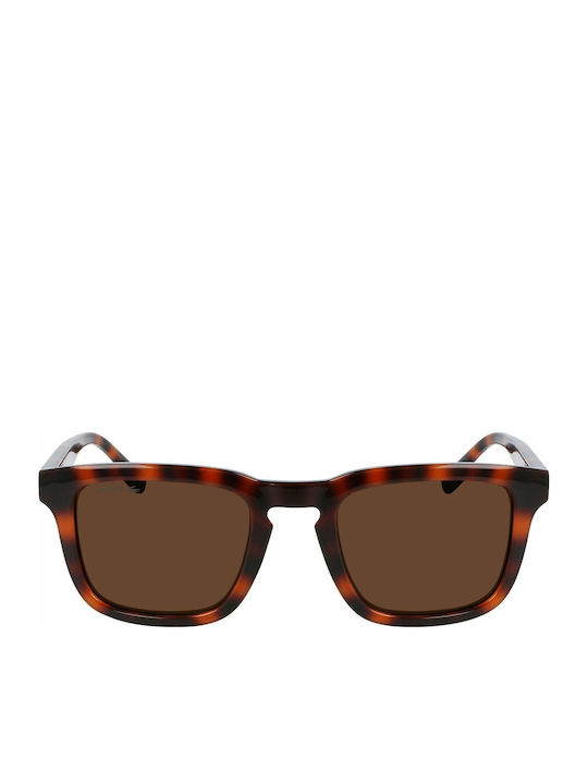 Lacoste Sunglasses Brown with Acetate Frame & Brown Lens Lacoste Sunglasses Brown with Acetate Frame & Brown Lens