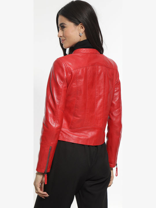 Newton Leather
