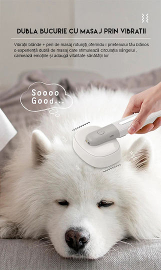 Electric Pet Grooming Brush Mdro Massage Function Negative Ion Sterilization Wood Lamp Pointer Playtime Usb Charging