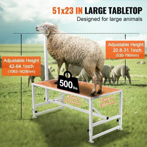 Vevor Goat Cutting Stand 21"-33" 47x23 White Scxjjbsytm47jnhgxv0