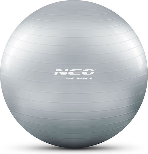 NEO Sport Μπάλα Pilates 65cm σε Ασημί Χρώμα