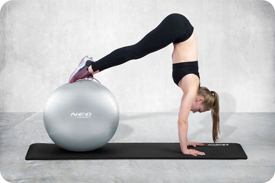 NEO Sport Μπάλα Pilates 65cm σε Ασημί Χρώμα