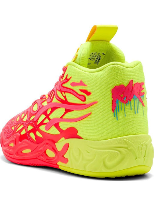 Niedrig Basketballschuhe Mehrfarbig