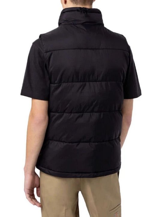Dickies Dickies