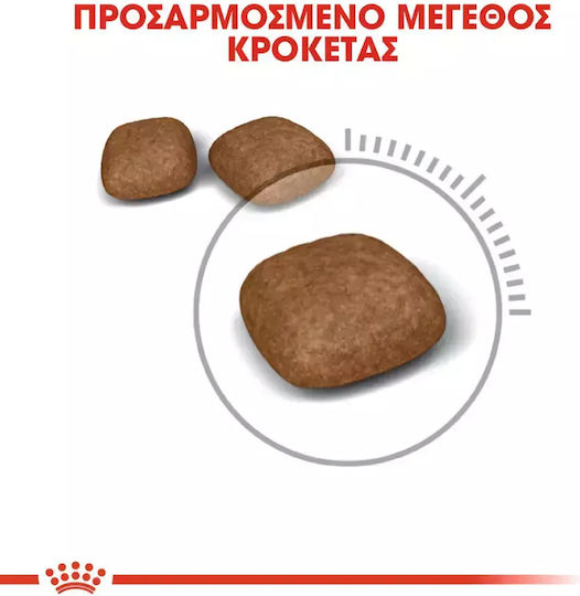 Royal Canin Care Urinary Dry Food for Adult Cats with Sensitive Urinary with Poultry 0.4kg
