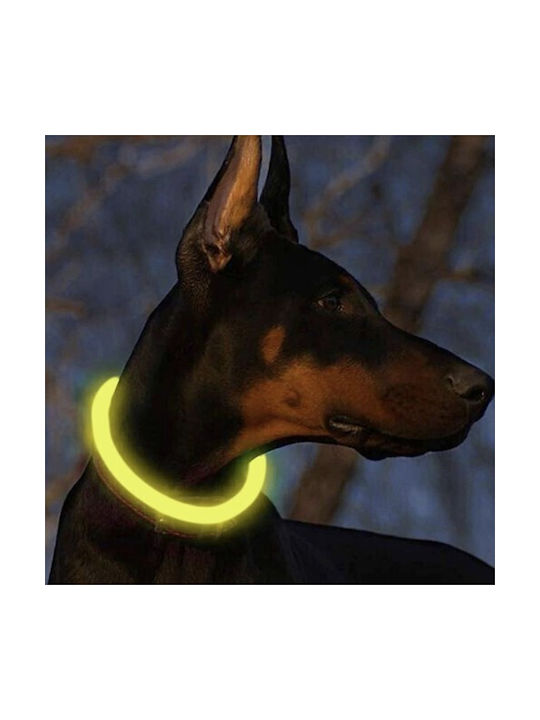 Dog Collar in Yellow color