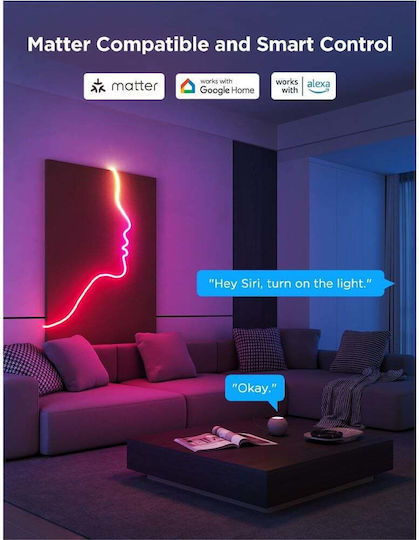 Govee Smart LED Strip Neon Rope Light 2 Wi-Fi RGB Light 3m Neon Flex with Power Supply