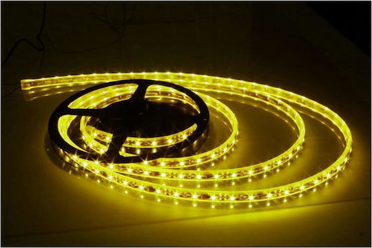 LED-Streifen 12V Gelb Licht 5m Typ SMD3528