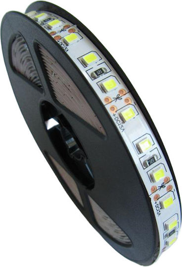 Eco Light LED Лента 12V Топло бяло Светлина 5м Тип SMD2835