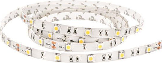 Eurolamp LED Strip 12V Warm White Light 5m Type SMD5050