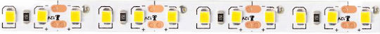 Eco Light Ταινία LED 12V Φυσικό Λευκό Φως 5m Τύπου SMD2835