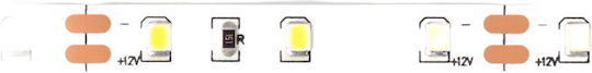 Eco Light Ταινία LED 12V 5m Τύπου SMD2835