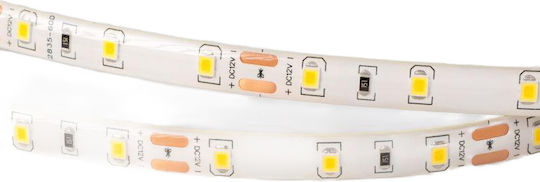 Eco Light Ταινία LED 12V Θερμό Λευκό Φως 5m Τύπου SMD2835
