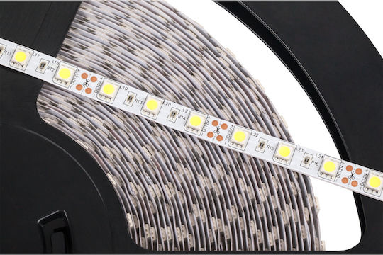 Rebel Bandă LED 12V Alb Rece Lumină 25m