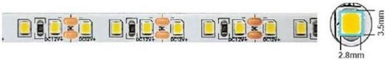 Vito LED Strip 12V Cold White Light 5m Type SMD2835