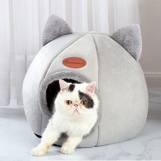 Bett Katze Gray