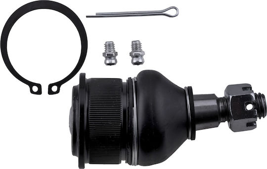 NTY Car Ball Joint for Honda Odyssey ZSD-HD-012