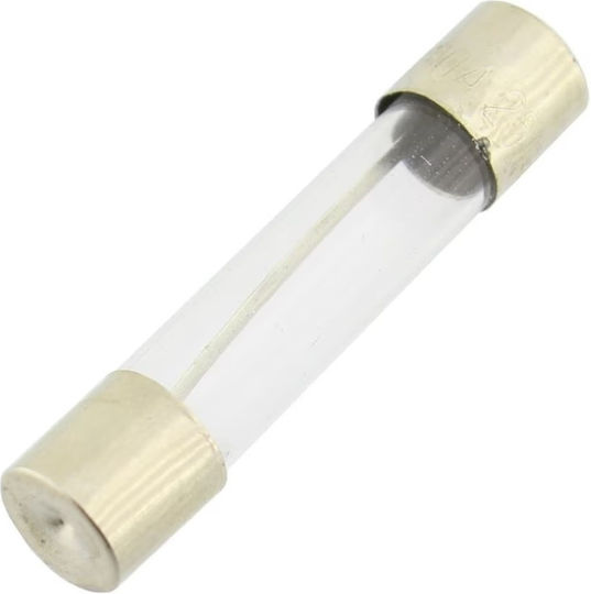 Set 10 Timed Fuses 10a-t 5x20mm