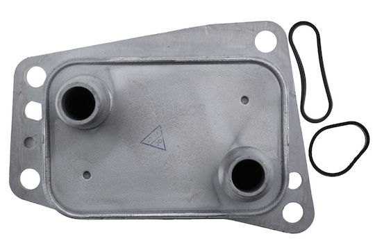NTY Car Oil Radiator for Peugeot 3008 / 308 / 5008 / 508 / Boxer / Expert / Traveller Opel Grandland X / Vivaro / Zafira Life Toyota Proace / Proace (Verso) Citroen C4 Grand Picasso / C4 / C4 Picasso / C4 SpaceTourer / C5 / DS / DS4 / DS5 / Jumper / Jumpy / SpaceTourer Ford C-Max / Focus / Galaxy / Grand C-Max / Kuga / Mondeo / S-Max