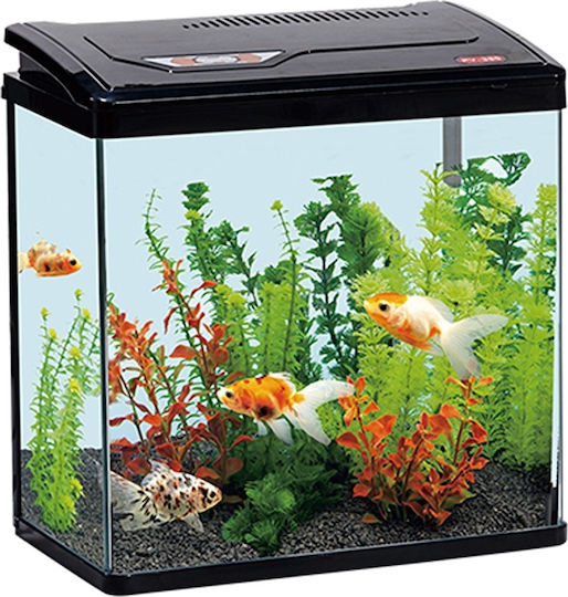 Fish Aquarium Capacity 11lt with Filter and 28.5x30x30cm Black