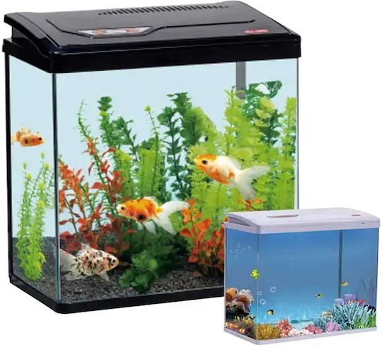 Fish Aquarium Capacity 11lt with Filter and 28.5x30x30cm Black