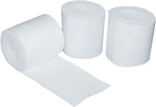 Orthopädischer Verband Orthoban 10 x 270 cm