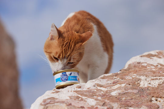Nassfutter für Erwachsene Katzen in Dose mit Thunfisch ohne Getreide 85gr
