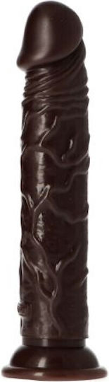 Toyz4lovers Amedeo Ρεαλιστικό Dildo με Βεντούζα Καφέ 19cm
