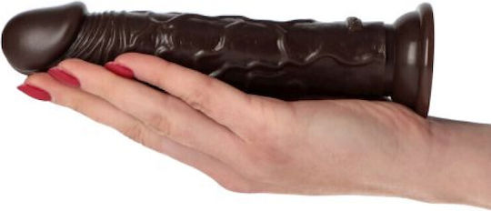 Toyz4lovers Amedeo Ρεαλιστικό Dildo με Βεντούζα Καφέ 19cm