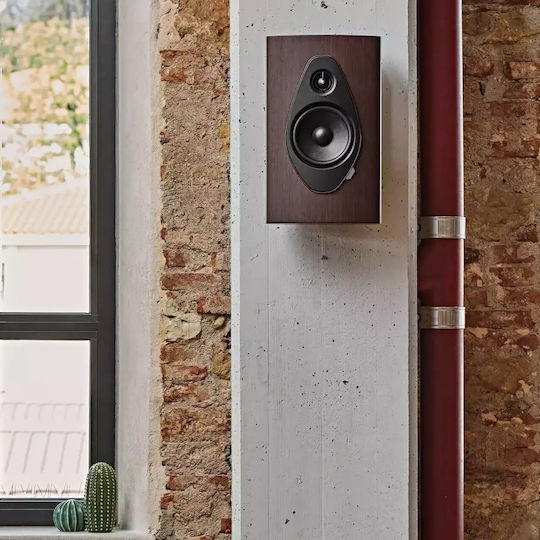 Sonus Faber Επιτοίχιο Ηχείο (Τεμάχιο) Καφέ