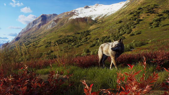Way of the Hunter Wild Expeditions PS5 Game