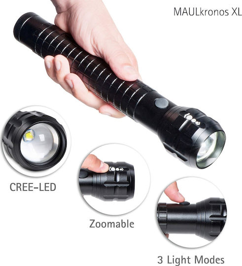 Flashlight LED